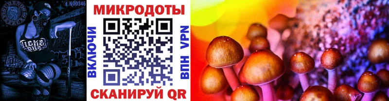 Псилоцибиновые грибы GOLDEN TEACHER  Купить закладки  Дальнегорск 
